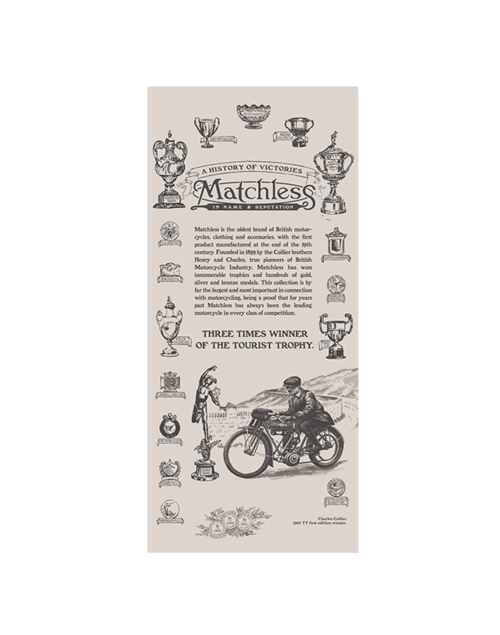 Matchless Tribute Large Scarf, neutral